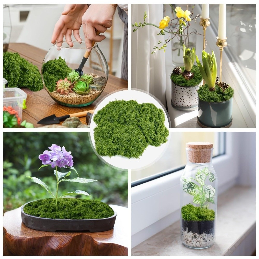 Plantes artificielles en polye - Terrarium Moss Art avis et prix